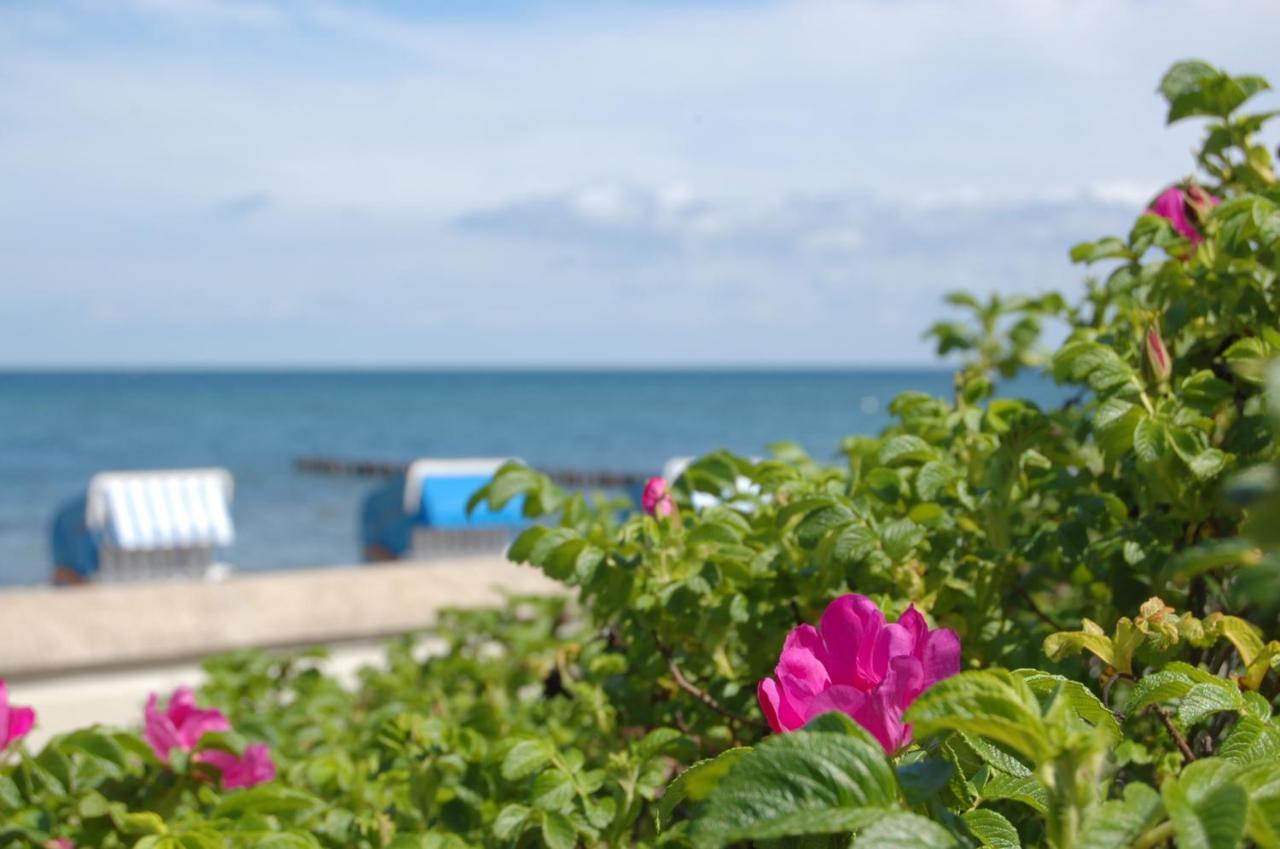 Hotel Am Strand Ostseebad Kühlungsborn 外观 照片